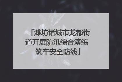 潍坊诸城市龙都街道开展防汛综合演练 筑牢安全防线