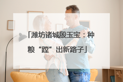 潍坊诸城殷玉宝：种粮“蹚”出新路子