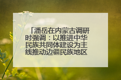 潘岳在内蒙古调研时强调：以推进中华民族共同体建设为主线推动边疆民族地区高质量发展