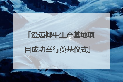 澄迈椰牛生产基地项目成功举行奠基仪式