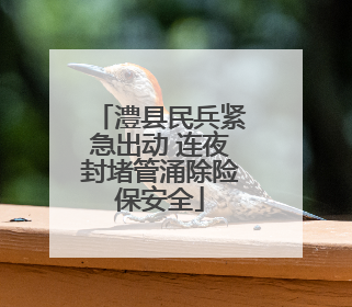 澧县民兵紧急出动 连夜封堵管涌除险保安全