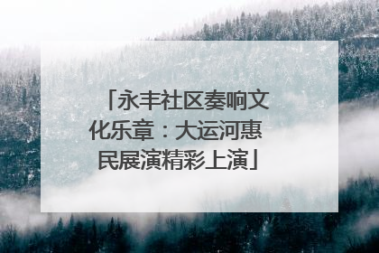 永丰社区奏响文化乐章：大运河惠民展演精彩上演
