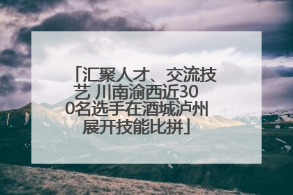 汇聚人才、交流技艺 川南渝西近300名选手在酒城泸州展开技能比拼