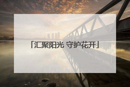 汇聚阳光 守护花开