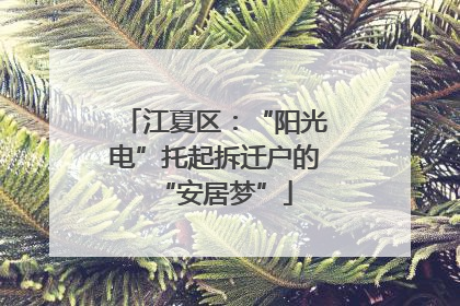 江夏区：“阳光电”托起拆迁户的“安居梦”