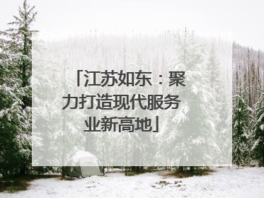 江苏如东：聚力打造现代服务业新高地