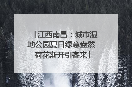 江西南昌：城市湿地公园夏日绿意盎然 荷花渐开引客来