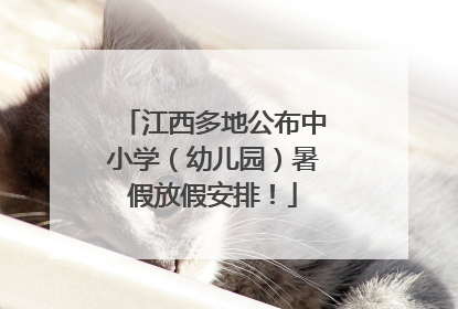 江西多地公布中小学（幼儿园）暑假放假安排！