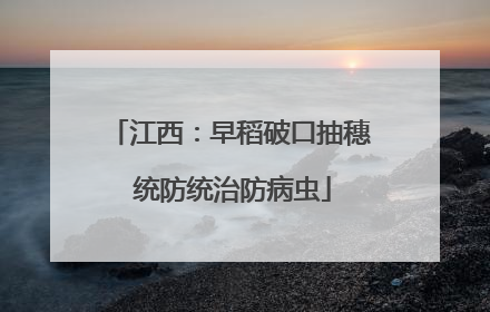 江西：早稻破口抽穗 统防统治防病虫