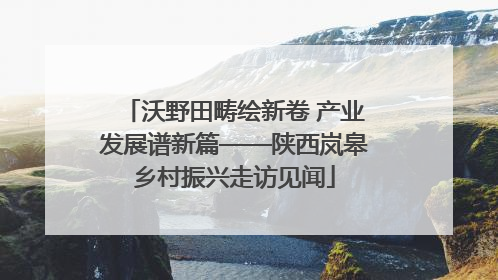 沃野田畴绘新卷 产业发展谱新篇——陕西岚皋乡村振兴走访见闻