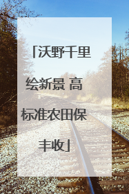 沃野千里绘新景 高标准农田保丰收