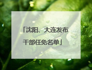 沈阳、大连发布干部任免名单