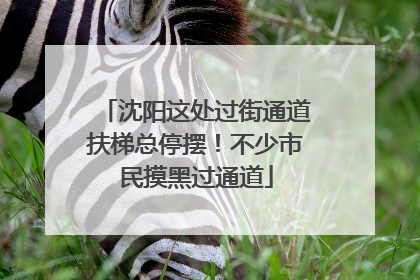 沈阳这处过街通道扶梯总停摆！不少市民摸黑过通道