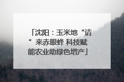 沈阳：玉米地“请”来赤眼蜂 科技赋能农业助绿色增产