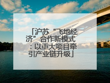 沪苏“飞地经济”合作新模式：以重大项目牵引产业链升级