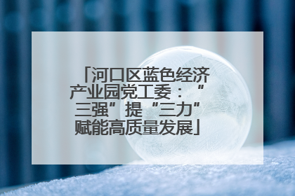 河口区蓝色经济产业园党工委：“三强”提“三力”赋能高质量发展