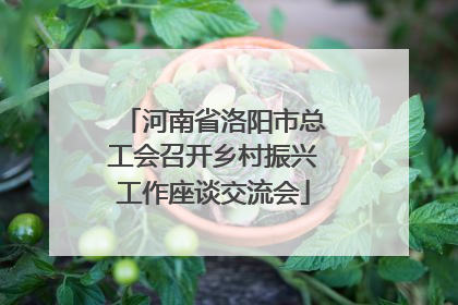 河南省洛阳市总工会召开乡村振兴工作座谈交流会