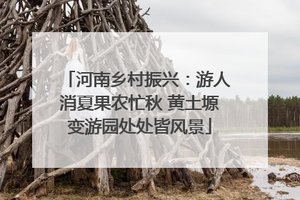 河南乡村振兴：游人消夏果农忙秋 黄土塬变游园处处皆风景