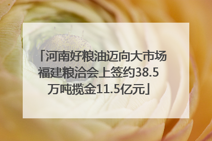 河南好粮油迈向大市场 福建粮洽会上签约38.5万吨揽金11.5亿元