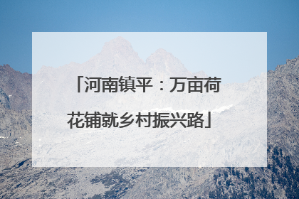 河南镇平：万亩荷花铺就乡村振兴路