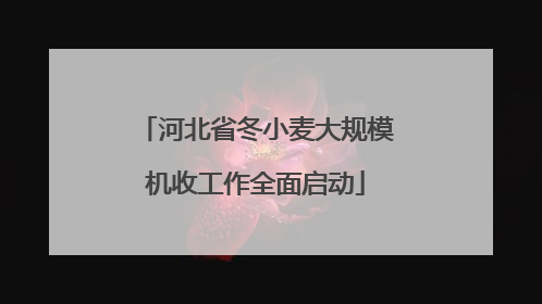 河北省冬小麦大规模机收工作全面启动