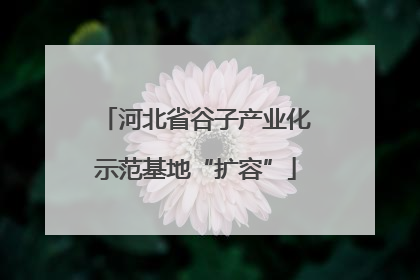 河北省谷子产业化示范基地“扩容”