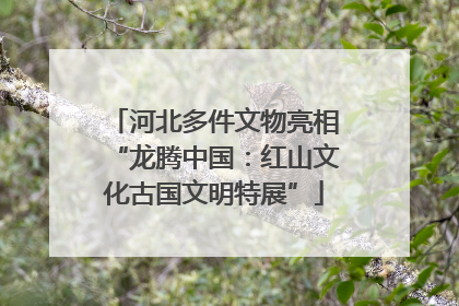 河北多件文物亮相“龙腾中国：红山文化古国文明特展”