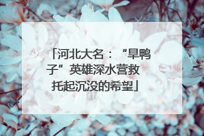 河北大名：“旱鸭子”英雄深水营救 托起沉没的希望
