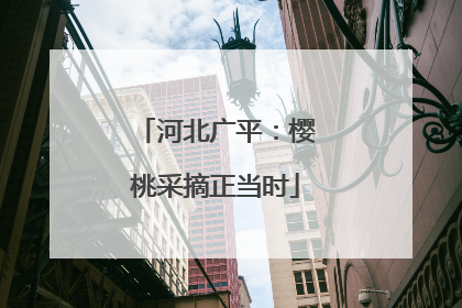 河北广平：樱桃采摘正当时