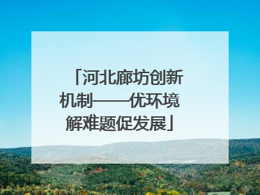 河北廊坊创新机制——优环境解难题促发展
