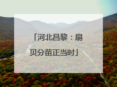 河北昌黎：扇贝分苗正当时