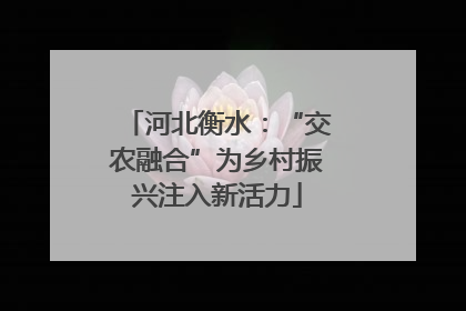 河北衡水：“交农融合”为乡村振兴注入新活力