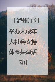 泸州江阳举办未成年人社会支持体系共建活动