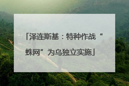 泽连斯基：特种作战“蛛网”为乌独立实施