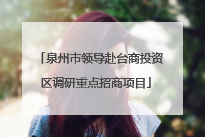 泉州市领导赴台商投资区调研重点招商项目