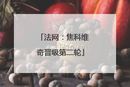 法网：焦科维奇晋级第二轮