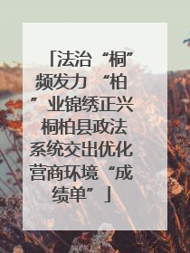 法治“桐”频发力 “柏”业锦绣正兴 桐柏县政法系统交出优化营商环境“成绩单”
