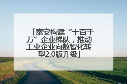 泰安构建“十百千万”企业梯队，推动工业企业向数智化转型2.0版升级