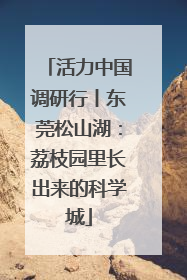 活力中国调研行丨东莞松山湖：荔枝园里长出来的科学城