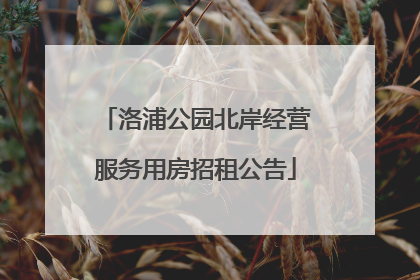 洛浦公园北岸经营服务用房招租公告