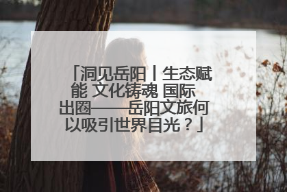 洞见岳阳丨生态赋能 文化铸魂 国际出圈——岳阳文旅何以吸引世界目光？