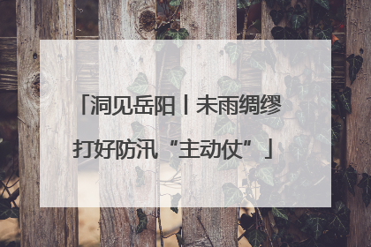 洞见岳阳丨未雨绸缪 打好防汛“主动仗”