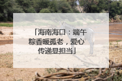 海南海口：端午粽香暖孤老，爱心传递显担当