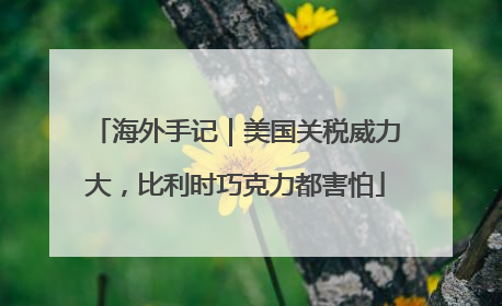 海外手记｜美国关税威力大，比利时巧克力都害怕