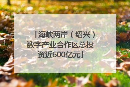 海峡两岸（绍兴）数字产业合作区总投资近600亿元