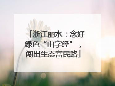 浙江丽水：念好绿色“山字经”，闯出生态富民路