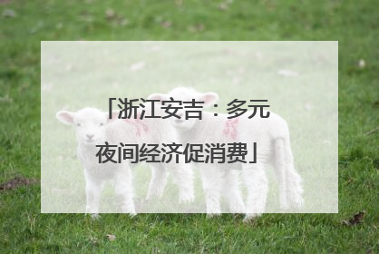 浙江安吉：多元夜间经济促消费