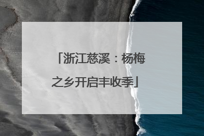 浙江慈溪：杨梅之乡开启丰收季