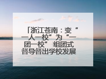 浙江苍南：变“一人一校”为“一团一校” 组团式督导督出学校发展加速度