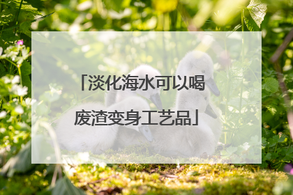 淡化海水可以喝 废渣变身工艺品